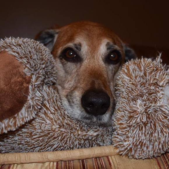 Meet your Posher, Kate - Picture 1 of 1